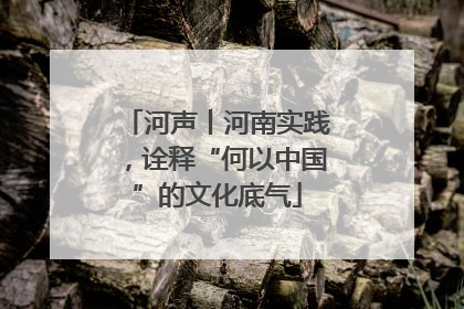 河声丨河南实践，诠释“何以中国”的文化底气
