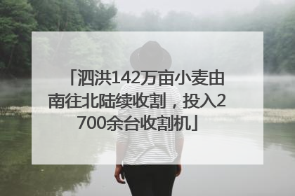 泗洪142万亩小麦由南往北陆续收割，投入2700余台收割机