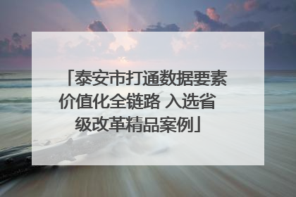 泰安市打通数据要素价值化全链路 入选省级改革精品案例