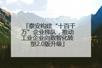 泰安构建“十百千万”企业梯队，推动工业企业向数智化转型2.0版升级