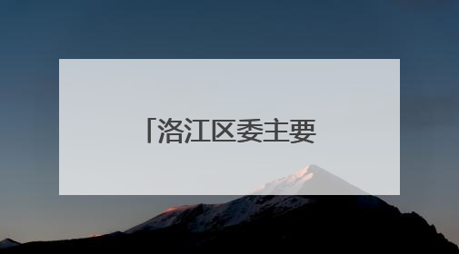 洛江区委主要领导带队赴深圳开展跨境电商招商考察活动