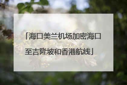 海口美兰机场加密海口至吉隆坡和香港航线