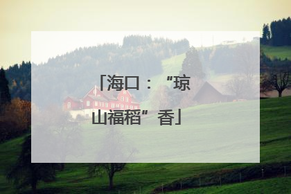 海口：“琼山福稻”香