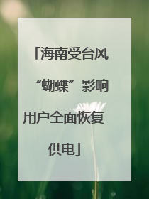 海南受台风“蝴蝶”影响用户全面恢复供电