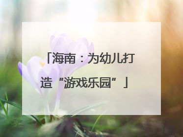 海南：为幼儿打造“游戏乐园”
