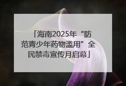 海南2025年“防范青少年药物滥用”全民禁毒宣传月启幕