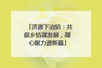 济源下冶镇：共叙乡情谋发展，凝心聚力谱新篇