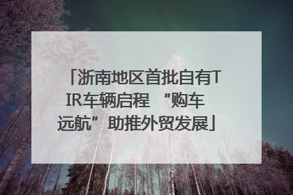 浙南地区首批自有TIR车辆启程 “购车远航”助推外贸发展