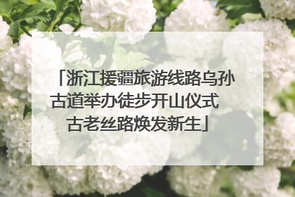 浙江援疆旅游线路乌孙古道举办徒步开山仪式 古老丝路焕发新生