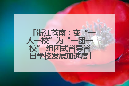 浙江苍南：变“一人一校”为“一团一校” 组团式督导督出学校发展加速度
