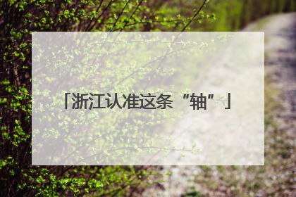 浙江认准这条“轴”