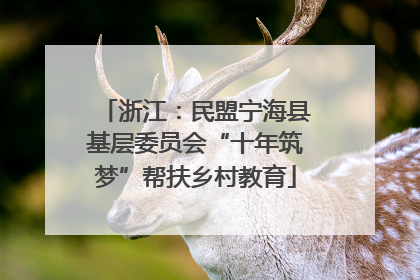 浙江：民盟宁海县基层委员会“十年筑梦”帮扶乡村教育
