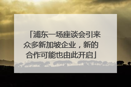 浦东一场座谈会引来众多新加坡企业，新的合作可能也由此开启