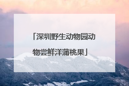 深圳野生动物园动物尝鲜洋蒲桃果