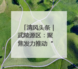 清风头条｜武陵源区：聚焦发力推动“三化”建设年行动