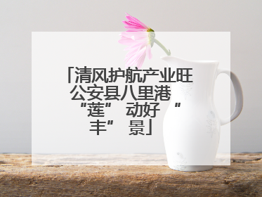 清风护航产业旺 公安县八里港 “莲” 动好 “丰” 景