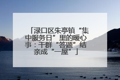 渌口区朱亭镇“集中服务日”里的暖心事：干群“答题”结亲成“一屋”