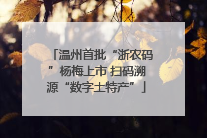 温州首批“浙农码”杨梅上市 扫码溯源“数字土特产”
