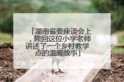湖南省委座谈会上，隆回这位小学老师讲述了一个乡村教学点的温暖故事