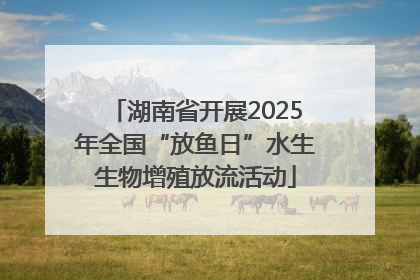 湖南省开展2025年全国“放鱼日”水生生物增殖放流活动