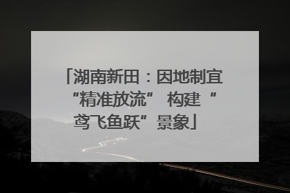 湖南新田：因地制宜“精准放流” 构建“鸢飞鱼跃”景象