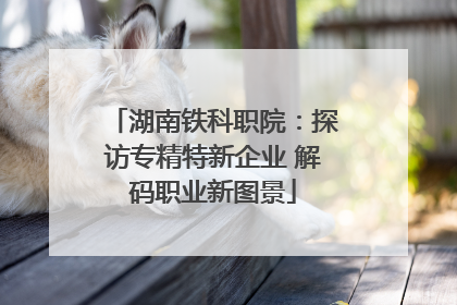 湖南铁科职院：探访专精特新企业 解码职业新图景