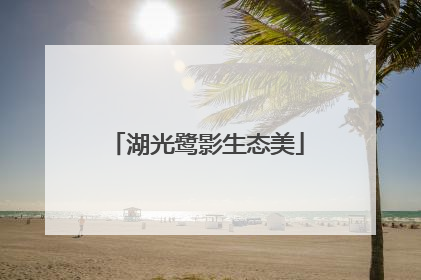 湖光鹭影生态美