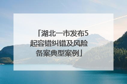 湖北一市发布5起容错纠错及风险备案典型案例