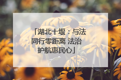 湖北十堰：与法同行零距离 法治护航惠民心