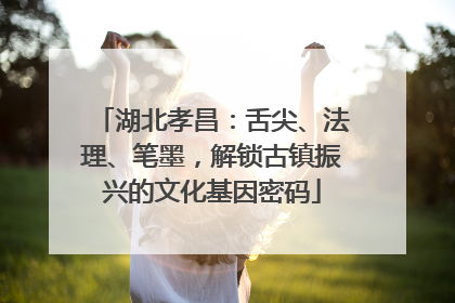 湖北孝昌：舌尖、法理、笔墨，解锁古镇振兴的文化基因密码