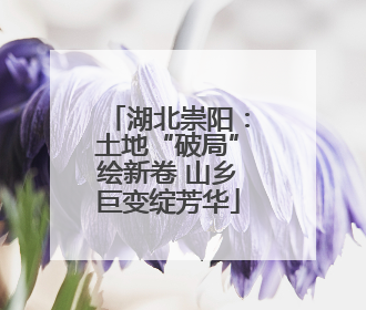 湖北崇阳：土地“破局”绘新卷 山乡巨变绽芳华