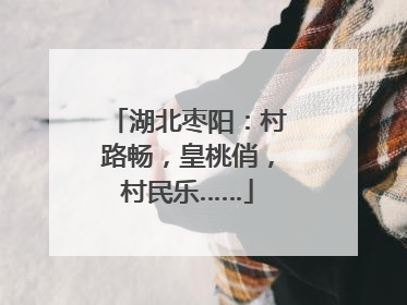湖北枣阳：村路畅，皇桃俏，村民乐……