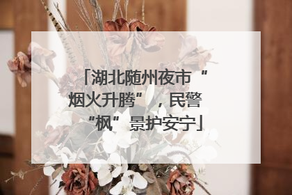 湖北随州夜市“烟火升腾”，民警“枫”景护安宁