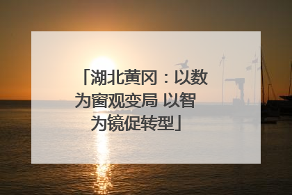湖北黄冈：以数为窗观变局 以智为镜促转型