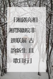 湘剧亮相湘鄂赣皖非遗联展 古韵新生 且歌且行