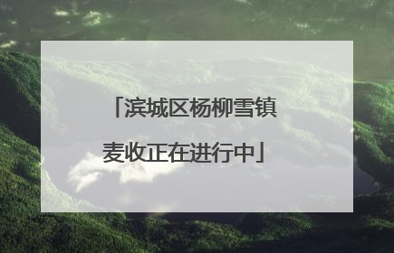 滨城区杨柳雪镇麦收正在进行中