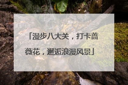 漫步八大关，打卡蔷薇花，邂逅浪漫风景