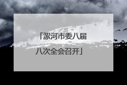 漯河市委八届八次全会召开