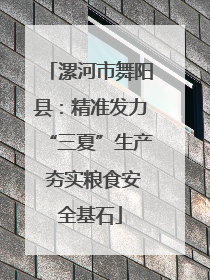 漯河市舞阳县：精准发力“三夏”生产 夯实粮食安全基石