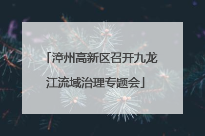 漳州高新区召开九龙江流域治理专题会