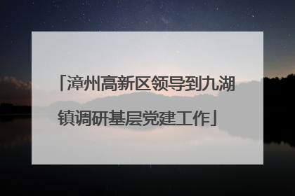 漳州高新区领导到九湖镇调研基层党建工作