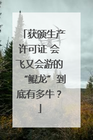 获颁生产许可证 会飞又会游的“鲲龙”到底有多牛？