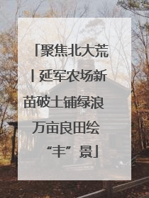 聚焦北大荒丨延军农场新苗破土铺绿浪 万亩良田绘“丰”景