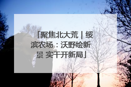 聚焦北大荒｜绥滨农场：沃野绘新景 实干开新局