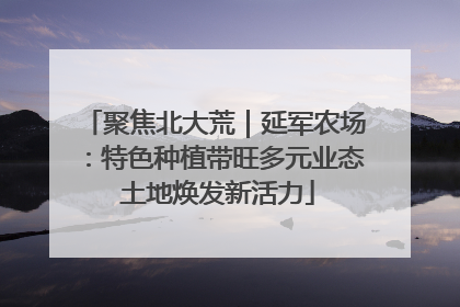 聚焦北大荒｜延军农场：特色种植带旺多元业态 土地焕发新活力