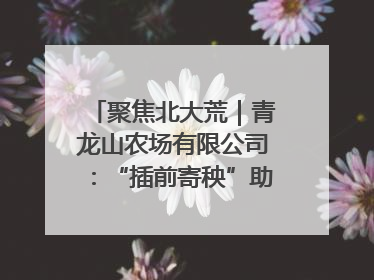 聚焦北大荒｜青龙山农场有限公司：“插前寄秧”助力农业节本增效