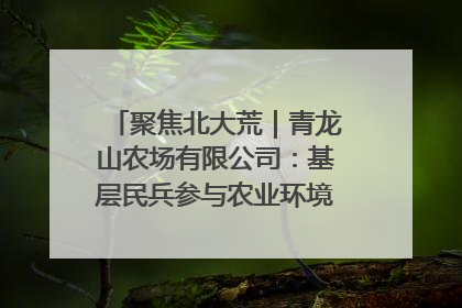 聚焦北大荒｜青龙山农场有限公司：基层民兵参与农业环境综合治理显效