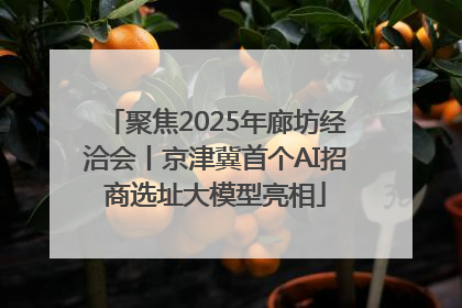 聚焦2025年廊坊经洽会丨京津冀首个AI招商选址大模型亮相