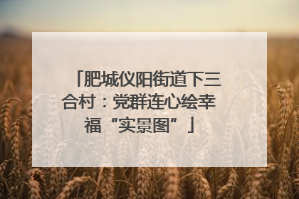 肥城仪阳街道下三合村：党群连心绘幸福“实景图”