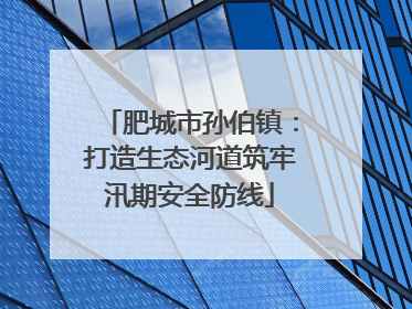 肥城市孙伯镇：打造生态河道筑牢汛期安全防线